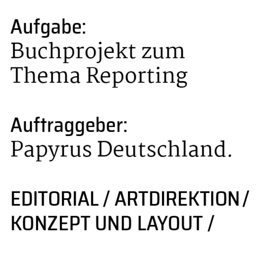 Anna-Lena 
Rauch Y-Kompendium Reporting